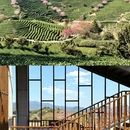 龙岩旅游 缩略图 11