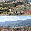 龙岩旅游 缩略图 14