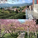 龙岩旅游 缩略图 5
