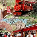 龙岩旅游 缩略图 16