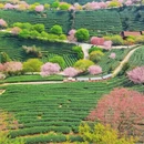 龙岩旅游 缩略图 4