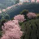福州旅游 缩略图 4