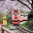 龙岩旅游 缩略图 15