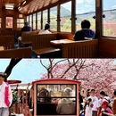 龙岩旅游 缩略图 17