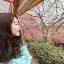 福州旅游 缩略图 4
