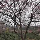 福州旅游 缩略图 8