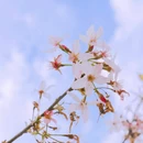 龙岩旅游 缩略图 9