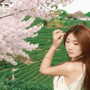 龙岩旅游 缩略图 5
