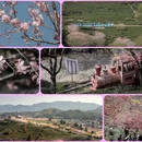 龙岩旅游 缩略图 1