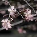 龙岩旅游 缩略图 3