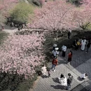 龙岩旅游 缩略图 4