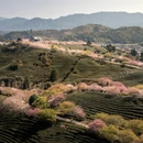 龙岩旅游 缩略图 2