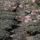 龙岩旅游 缩略图 7