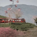 龙岩旅游 缩略图 14
