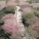 龙岩旅游 缩略图 5