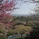 龙岩旅游 缩略图 16