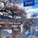 林芝旅游 缩略图 12