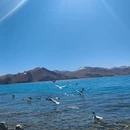 拉萨旅游 缩略图 3