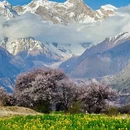 林芝旅游 缩略图 3