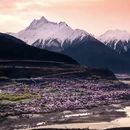 林芝旅游 缩略图 7