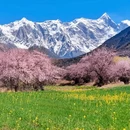 林芝旅游 缩略图 3