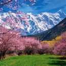 林芝旅游 缩略图 2