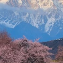 林芝旅游 缩略图 7