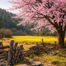 林芝旅游 缩略图 5