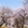 林芝