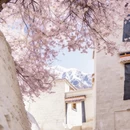 林芝旅游 缩略图 3