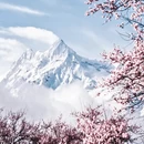 林芝旅游 缩略图 3