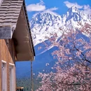 林芝旅游 缩略图 2
