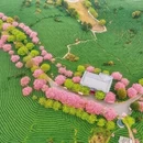 龙岩旅游 缩略图 8
