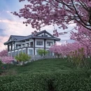 龙岩旅游 缩略图 16
