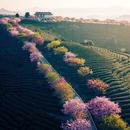 龙岩旅游 缩略图 13