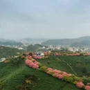 龙岩旅游 缩略图 12