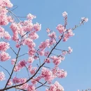 龙岩旅游 缩略图 17