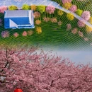 漳州旅游 缩略图 2