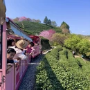 三明旅游 缩略图 3