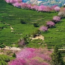 三明旅游 缩略图 4