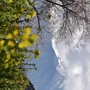 林芝旅游 缩略图 2