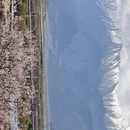林芝旅游 缩略图 5