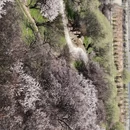 林芝旅游 缩略图 8