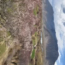 林芝旅游 缩略图 9