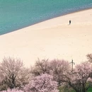 林芝旅游 缩略图 1
