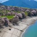 林芝旅游 缩略图 2