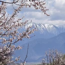 林芝旅游 缩略图 17