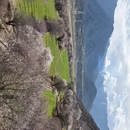 林芝旅游 缩略图 12