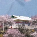林芝旅游 缩略图 8