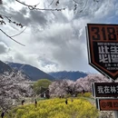林芝旅游 缩略图 1